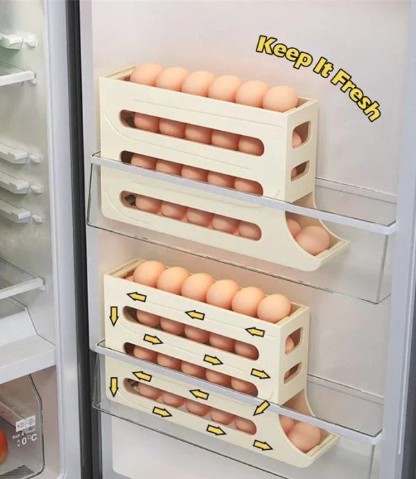 Egg Storage Box Egg Storage Box