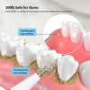 Electric Dental Calculus Remover Electric Dental Calculus Remover