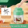 Electric Mini Food Chopper Electric Mini Food Chopper