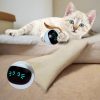 Electronic Led Cat Ball
