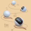 Electronic Led Cat Ball