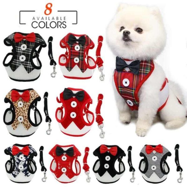 Elegant Dog Harness Elegant Dog Harness