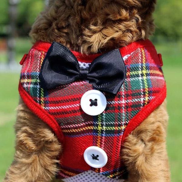 Elegant Dog Harness Elegant Dog Harness