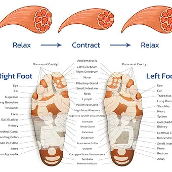 Ems Foot Massager Ems Foot Massager