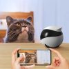 Enabot Ebo Wireless Camera Robot Enabot Ebo Wireless Camera Robot