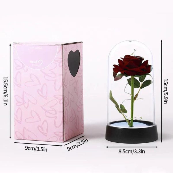 Enchanted Red Rose In Glass Dome Enchanted Red Rose In Glass Dome