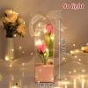 Enchanted Red Rose In Glass Dome Enchanted Red Rose In Glass Dome