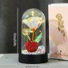 Enchanted Red Rose In Glass Dome Enchanted Red Rose In Glass Dome