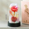 Enchanted Red Rose In Glass Dome Enchanted Red Rose In Glass Dome