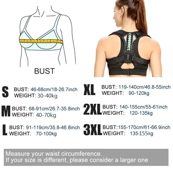 Ergonomic Posture Support Belt