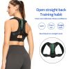 Ergonomic Posture Support Belt