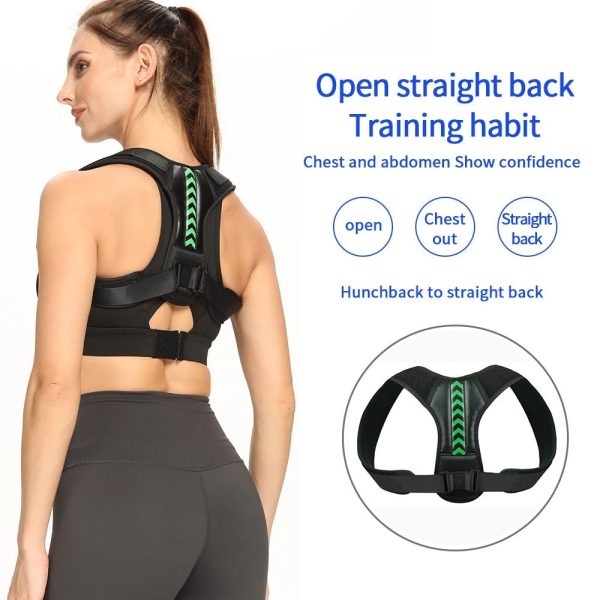 Ergonomic Posture Support Belt