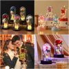 Eternal Galaxy Rose with LED Lights Romantic Gift for Valentine’s Day and Wedding Eternal Galaxy Rose with LED Lights Romantic Gift for Valentine’s Day and Wedding