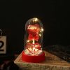 Eternal Galaxy Rose with LED Lights Romantic Gift for Valentine’s Day and Wedding Eternal Galaxy Rose with LED Lights Romantic Gift for Valentine’s Day and Wedding