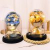 Eternal LED Rose Acrylic Dome Decor Eternal LED Rose Acrylic Dome Decor