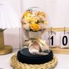 Eternal LED Rose Acrylic Dome Decor Eternal LED Rose Acrylic Dome Decor