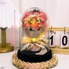 Eternal LED Rose Acrylic Dome Decor Eternal LED Rose Acrylic Dome Decor