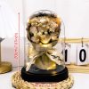 Eternal LED Rose Acrylic Dome Decor Eternal LED Rose Acrylic Dome Decor