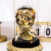 Eternal LED Rose Acrylic Dome Decor Eternal LED Rose Acrylic Dome Decor