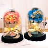 Eternal LED Rose Acrylic Dome Decor Eternal LED Rose Acrylic Dome Decor