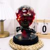 Eternal LED Rose Acrylic Dome Decor Eternal LED Rose Acrylic Dome Decor