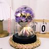 Eternal LED Rose Acrylic Dome Decor Eternal LED Rose Acrylic Dome Decor