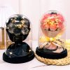 Eternal LED Rose Acrylic Dome Decor Eternal LED Rose Acrylic Dome Decor