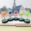 Eternal LED Rose in Glass Dome for Valentine's Day, Wedding, and Romantic Gifts Eternal LED Rose in Glass Dome for Valentine's Day, Wedding, and Romantic Gifts