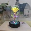 Eternal LED Rose in Glass Dome for Valentine's Day, Wedding, and Romantic Gifts Eternal LED Rose in Glass Dome for Valentine's Day, Wedding, and Romantic Gifts