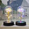 Eternal LED Rose in Glass Dome for Valentine's Day, Wedding, and Romantic Gifts Eternal LED Rose in Glass Dome for Valentine's Day, Wedding, and Romantic Gifts