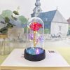 Eternal LED Rose in Glass Dome for Valentine's Day, Wedding, and Romantic Gifts Eternal LED Rose in Glass Dome for Valentine's Day, Wedding, and Romantic Gifts
