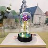 Eternal LED Rose in Glass Dome for Valentine's Day, Wedding, and Romantic Gifts Eternal LED Rose in Glass Dome for Valentine's Day, Wedding, and Romantic Gifts