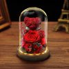 Eternal Preserved Rose Teddy Bear Gift Box with Lights