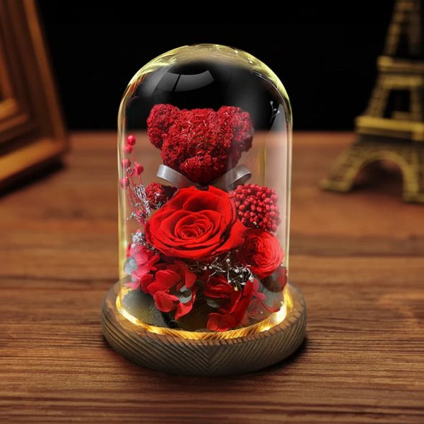 Eternal Preserved Rose Teddy Bear Gift Box with Lights