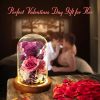 Eternal Preserved Rose Teddy Bear Gift Box with Lights