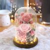 Eternal Preserved Rose Teddy Bear Gift Box with Lights