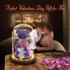 Eternal Preserved Rose Teddy Bear Gift Box with Lights