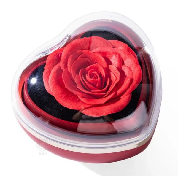 Eternal Red Rose Necklace in Preserved Flower Gift Box for Women Birthday and Valentine’s Day Eternal Red Rose Necklace in Preserved Flower Gift Box for Women Birthday and Valentine’s Day
