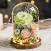 Eternal Rose Glass Dome Light Decor Eternal Rose Glass Dome Light Decor
