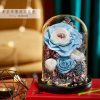 Eternal Rose Glass Dome Light Decor Eternal Rose Glass Dome Light Decor