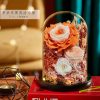 Eternal Rose Glass Dome Light Decor Eternal Rose Glass Dome Light Decor