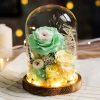 Eternal Rose Glass Dome Light Decor Eternal Rose Glass Dome Light Decor