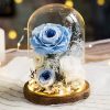 Eternal Rose Glass Dome Light Decor Eternal Rose Glass Dome Light Decor