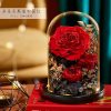 Eternal Rose Glass Dome Light Decor Eternal Rose Glass Dome Light Decor