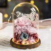 Eternal Rose Glass Dome Light Decor Eternal Rose Glass Dome Light Decor
