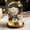 Eternal Rose Glass Dome Light Decor Eternal Rose Glass Dome Light Decor