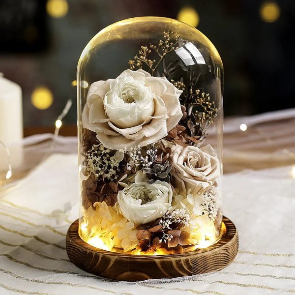 Eternal Rose Glass Dome Light Decor Eternal Rose Glass Dome Light Decor