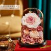 Eternal Rose Glass Dome Light Decor Eternal Rose Glass Dome Light Decor