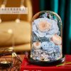 Eternal Rose Glass Dome Light Decor Eternal Rose Glass Dome Light Decor