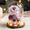 Eternal Rose Glass Dome Light Decor Eternal Rose Glass Dome Light Decor